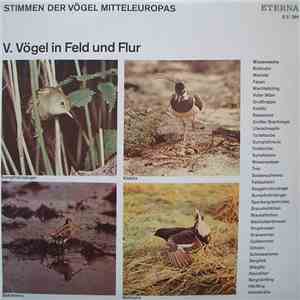 No Artist - Stimmen Der Vögel Mitteleuropas - V. Vögel In Feld Und Flur album