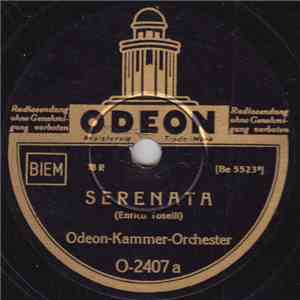 Odeon-Kammer-Orchester - Serenata / Ständchen album