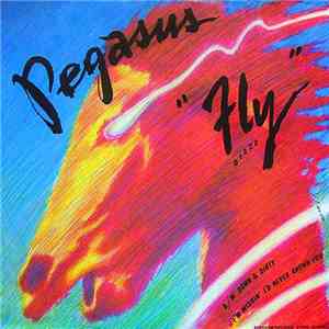 Pegasus  - Fly / Down And Dirty / I'm Wishing I'd Never Known You album