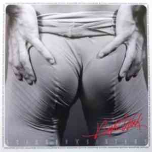Scissor Sisters - Night Work album