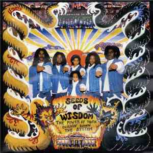 Seeds Of Wisdom - The Power of Truth Burnin' Down the System album