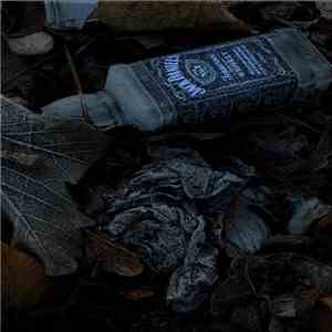 Siavash Amini + Umchunga - The Brightest Winter Sun album