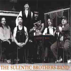 The Sulentic Brothers Band - South Bend album