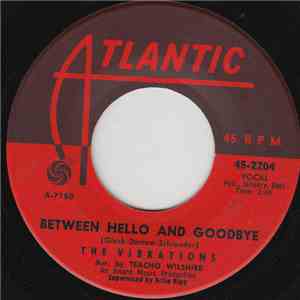 The Vibrations - Between Hello And Goodbye album