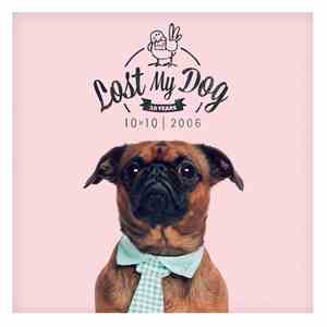 Various - Lost My Dog 10 X 10 | 2006 album