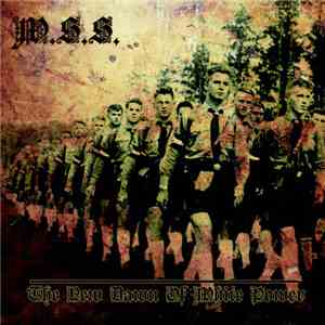W.S.S. - The New Dawn Of White Power album