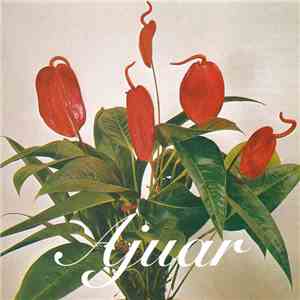 Ajuar - Cancionero album