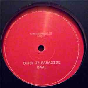 Bird Of Paradise - Baal album