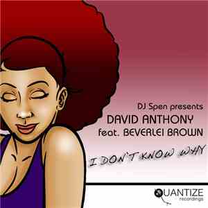 David Anthony  Feat. Beverlei Brown - I Don't Know Why album