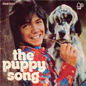David Cassidy - Daydreamer / The Puppy Song album