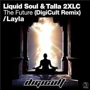 DigiCult - Layla / The Future album
