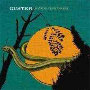 Guster - Ganging Up On The Sun album