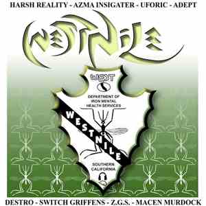 Inthevisualz - Westnile album