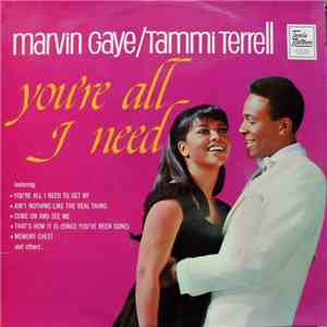 Marvin Gaye & Tammi Terrell - You're All I Need album