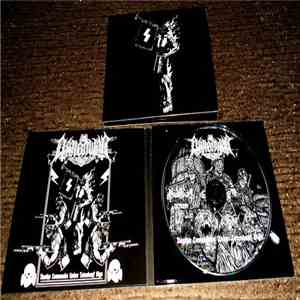 Nation War - Deaths Commands Under Totenkopf Sign album