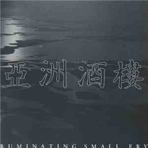 No Sense  - Ruminating Small Fry album