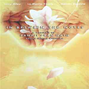 Pandit Pran Nath - In Between The Notes : A Portrait Of Pandit Pran Nath album