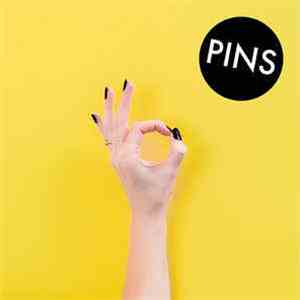 Pins - Aggrophobe album