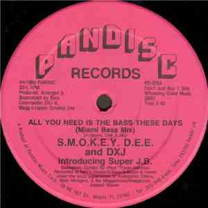 S.M.O.K.E.Y. D.E.E. And DXJ Introducing Super J.B. - All You Need Is The Bass These Days album