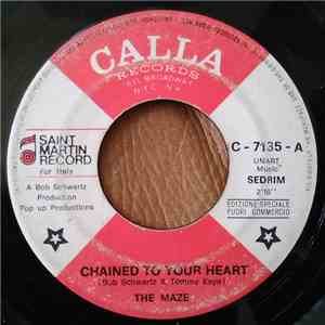 The Maze  - Chained To Your Heart album
