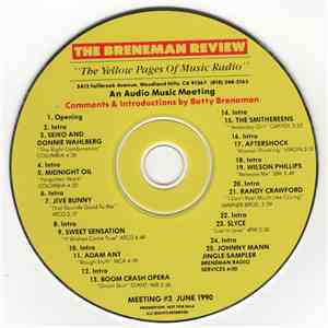 Various - The Breneman Review Meeting #3 album