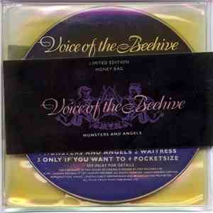 Voice Of The Beehive - Monsters And Angels album