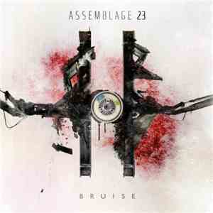 Assemblage 23 - Bruise album