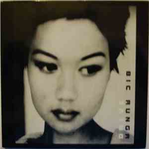 Bic Runga - Drive album
