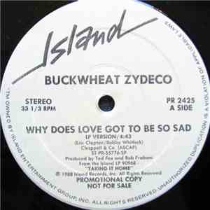 Buckwheat Zydeco - Why Does Love Got To Be So Sad album