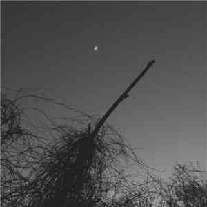 Cemeteries - Hollow Beings (2012​-​2014) album