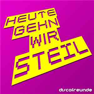 Discofreunde - Heute Gehn Wir Steil album
