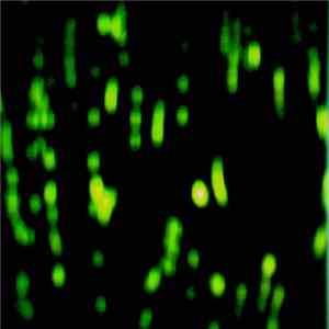 Drohnwerks - Outtake From Demo For Okkulth Records album