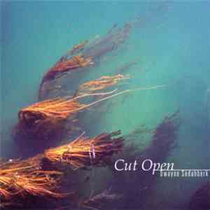 Dwayne Sodahberk - Cut Open album