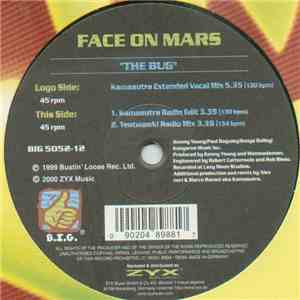 Face On Mars - The Bug album