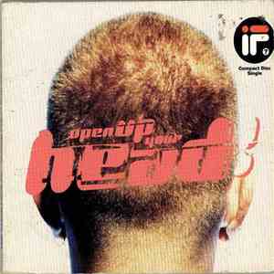 If? - Open Up Your Head album