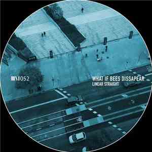 Linear Straight - What If Bees Disappear album
