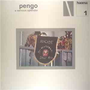Pengo - A Nervous Splendor album