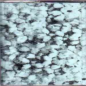 Pink Desert - The Room Is Alive album