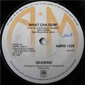 Seawind - What Cha Doin' album