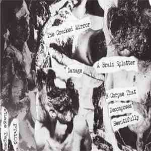 The Cracked Mirror - Damage album