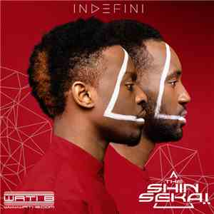 The Shin Sekaï - Indefini album