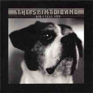 The Spinto Band - Did I Tell You album