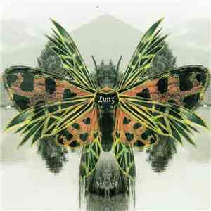 Tim Story / Hans-Joachim Roedelius - Lunz Reinterpretations album