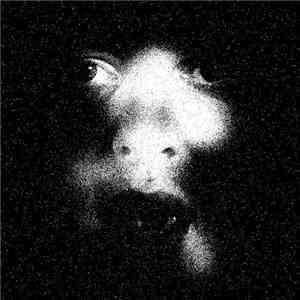 Yeasayer - Reagan's Skeleton album