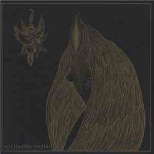 apt j(ext)ie irrchie - Night Wearing Feathers / Sunshine Bus Rider album