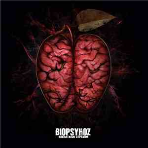 Biopsyhoz - Период #006 Воспитание Страхом album