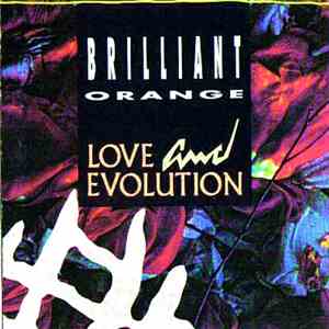 Brilliant Orange - Love And Evolution album