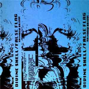 Divine Shell / False Flag - Divine Shell / False Flag album
