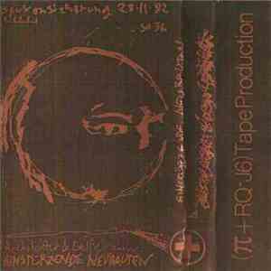 Einstürzende Neubauten - Architektur & Geißelnahme album