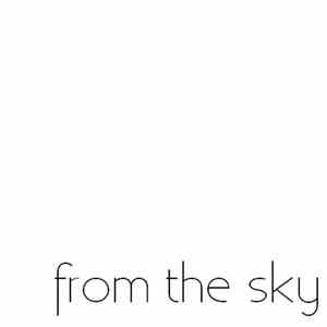 From The Sky - It Fell... album